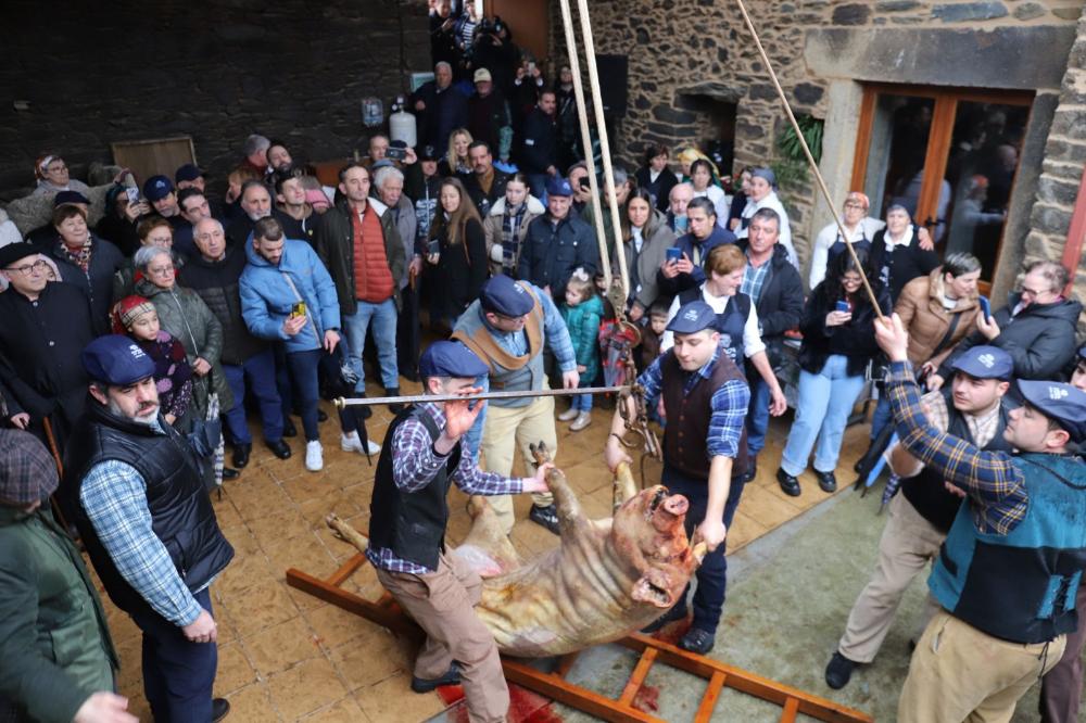 Imagen A XXV MATANZA TRADICIONAL DO PORCO CONTOU CUNHA DESTACADA PARTICIPACIÓN MALIA A QUE O TEMPO NON ACOMPAÑOU